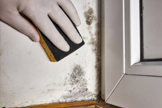 Mold Removal for HVAC Installations in Manorhaven, NY